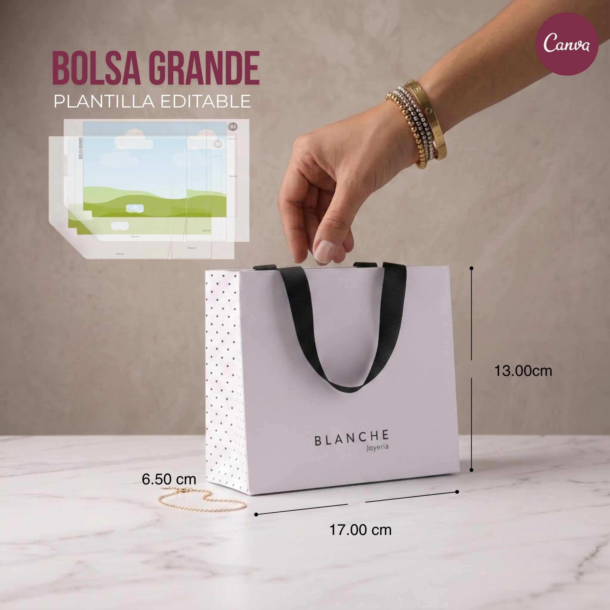 Bolsas Boutique-P. Editables (Pack o individual)