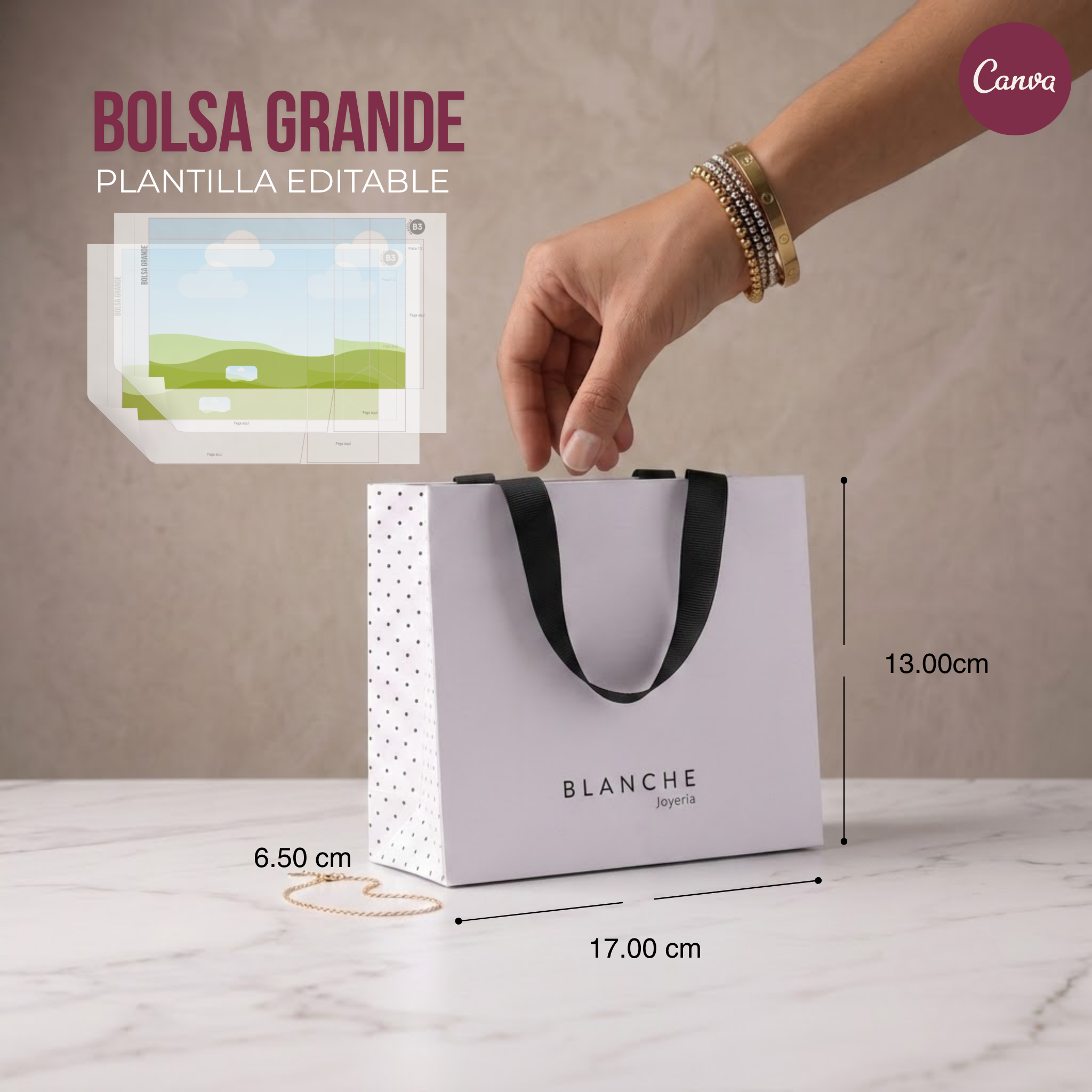 Bolsas Boutique-P. Editables (Pack o individual)